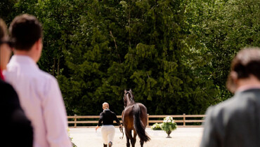 Top competitors descend upon Thunderbird Show Park ahead of Major League Show Jumping