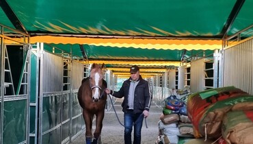 The Ukrainian Equestrian Federation Charity Foundation no longer evacuating horses from Ukraine