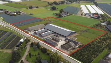 Perfect place for sports stable for sale
