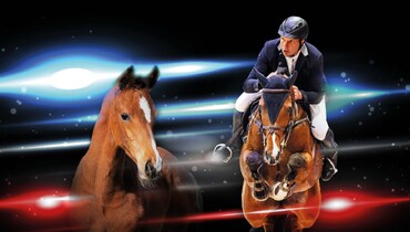 Foal auction at the Holsteiner Horse Days: 27 opportunities for future athletes