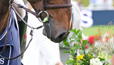 This weekend's CSI2* Grand Prix winners