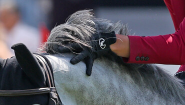 A message from the EEF President: The equestrian sport and its social licence
