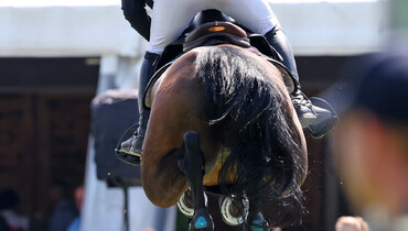 FEI Jumping Guidelines for Use of Saddlery, Equipment and Dress published