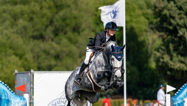 Rein family purchases three new horses for Nina Mallevaey