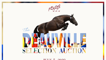 Meet Fences in Deauville