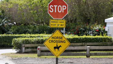 Images from the Winter Equestrian Festival in Wellington - Part seven