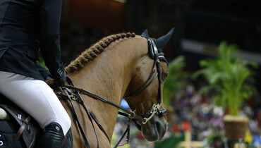 Comeback for Glock's London N.O.P.