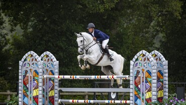 De Wolden Summer Sale, live and online auction with foals and ridden horses