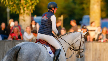 The Billy Stud Online Auction international showcase!