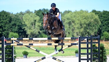 The favourites for the first edition of Beervelde Horse Auction