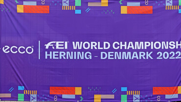 From A-Z: Read yourself ready for the World Championship