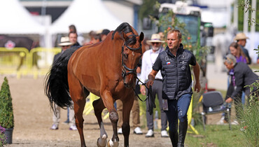 118 horses accepted during first veterinary inspection at the Agria FEI Jumping World Championship
