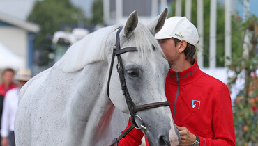 Trot and thrills at the first horse inspection in Herning