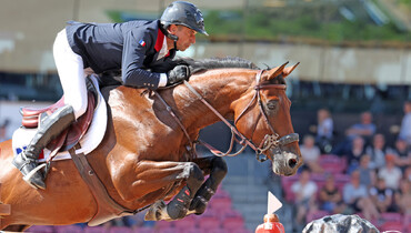 From youngster to international Grand Prix horse: Caracole de La Roque