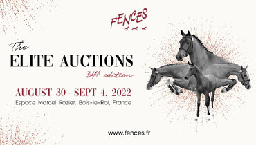 The 34th edition of the Fences Elite Auctions is coming up