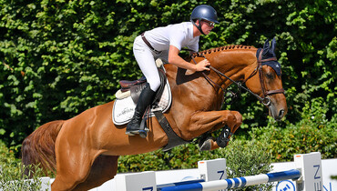 Stunning showjumpers, amazing hunters and exceptional embryos ... get ready for the Chosen.Auction