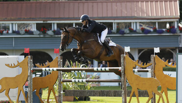 Home riders dominate as Dublin Horse Show kicks off