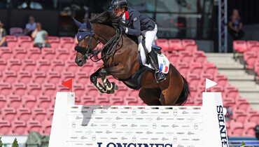 From youngster to international Grand Prix horse: Cayman Jolly Jumper