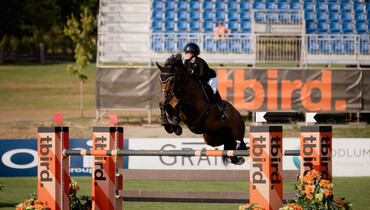 Morin makes moves in CSI3* Uryadi's Village Cup 1.50m