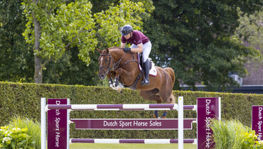 DSHS collection excels with potency and performances
