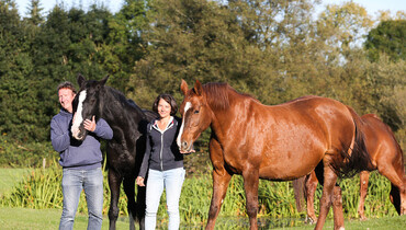 D’Ick Auction, from 4th to 6th September: The major 2022 breeding event!