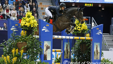 Bee Wonderful sold to Belgium