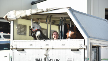 The world's top horses have arrived at YYC