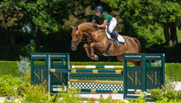 Suus Kuyten starts new showjumping horse auction