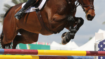 Paul O'Shea and Skara Glen's Sienna Win $34,000 Suncast® 1.50m Championship Jumper Classic