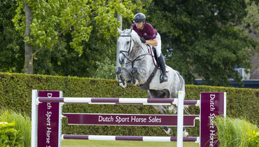 Future Grand Prix performers for sale in Dutch Sport Horse Sales