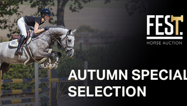 Autumn bidding time at FESThorseauction