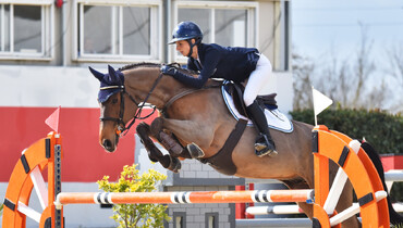 Game-changing technology in horse bits: Winderen Gel Bits System