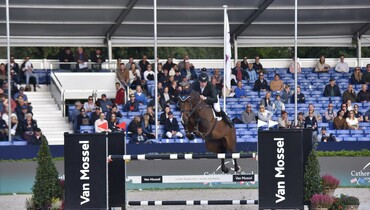 Gerard O'Neill and BP Goodfellas good for gold at the FEI WBFSH Jumping World Breeding Championships for Young Horses 2022