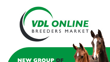 VDL Online Breeders Market: A new group of foals online