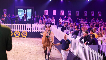 The Youngsters Auction: One week left before the top talents can be yours