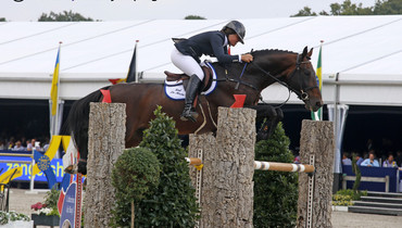 27 showjumping stallions approved by the BWP