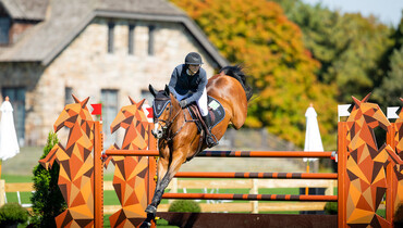 Sternlicht experiments with CSI3* speed 1.55m win at CSI Greenwich