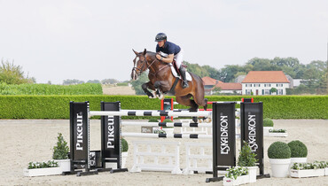 Holger Hetzel Sport Horse Sales presents: Champion