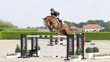 Holger Hetzel Sport Horse Sales presents: Chapeau