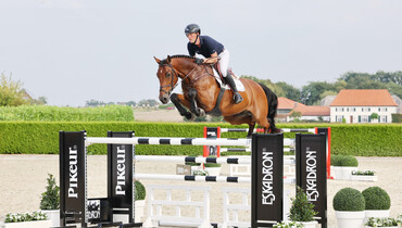 Holger Hetzel Sport Horse Sales presents: Five Star