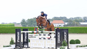 Holger Hetzel Sport Horse Sales presents: Freedom