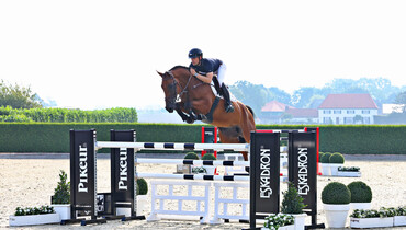 Holger Hetzel Sport Horse Sales presents: Future Vision