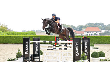 Holger Hetzel Sport Horse Sales presents: Lady in Black
