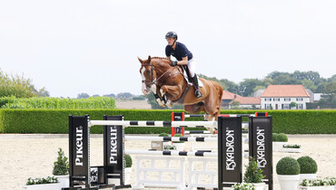 Holger Hetzel Sport Horse Sales presents: Major Tom
