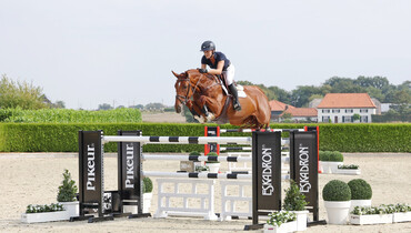 Holger Hetzel Sport Horse Sales presents: Wonder Woman