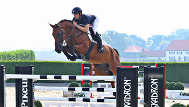 Holger Hetzel’s 17th International Sport Horse Sales: The collection is online and it includes a premiere