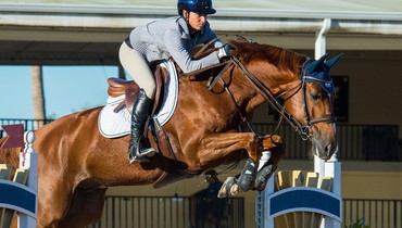 New talent for Daniel Bluman