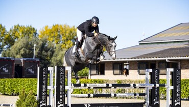 28th Youhorse.auction: From hunters to Grand Prix prospects