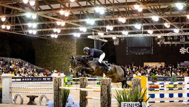 Eye Candy swipes gold in Monterrey