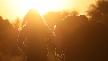 Post card from the Mediterranean Equestrian Tour